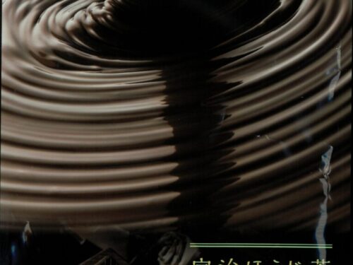 uji-gyokuro-roasted-tea-chocolate-a-sensory-delight-1.jpg