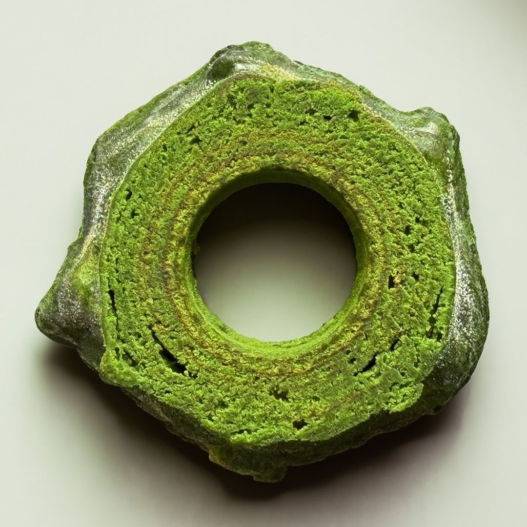 Cha-no-wa Uji Matcha Tree Stump Baumkuchen